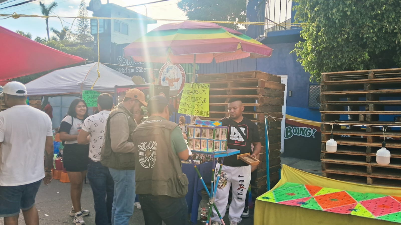 Refuerzan vigilancia para prevenir prácticas que vulneren el bienestar animal durante carnavales