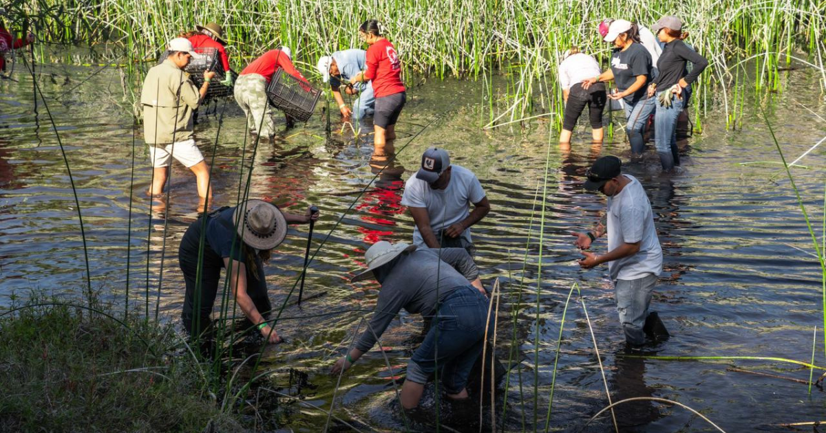 Gobierno de Morelos y sociedad civil sanean la Laguna de Hueyapan en El Texcal