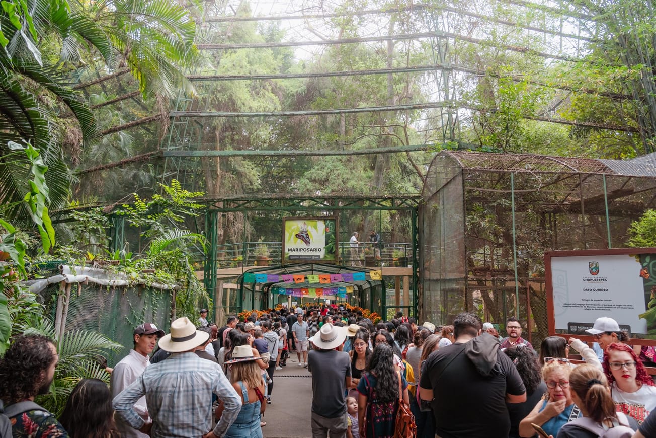 Festival “Alas de Primavera” llega al Parque Barranca Chapultepec