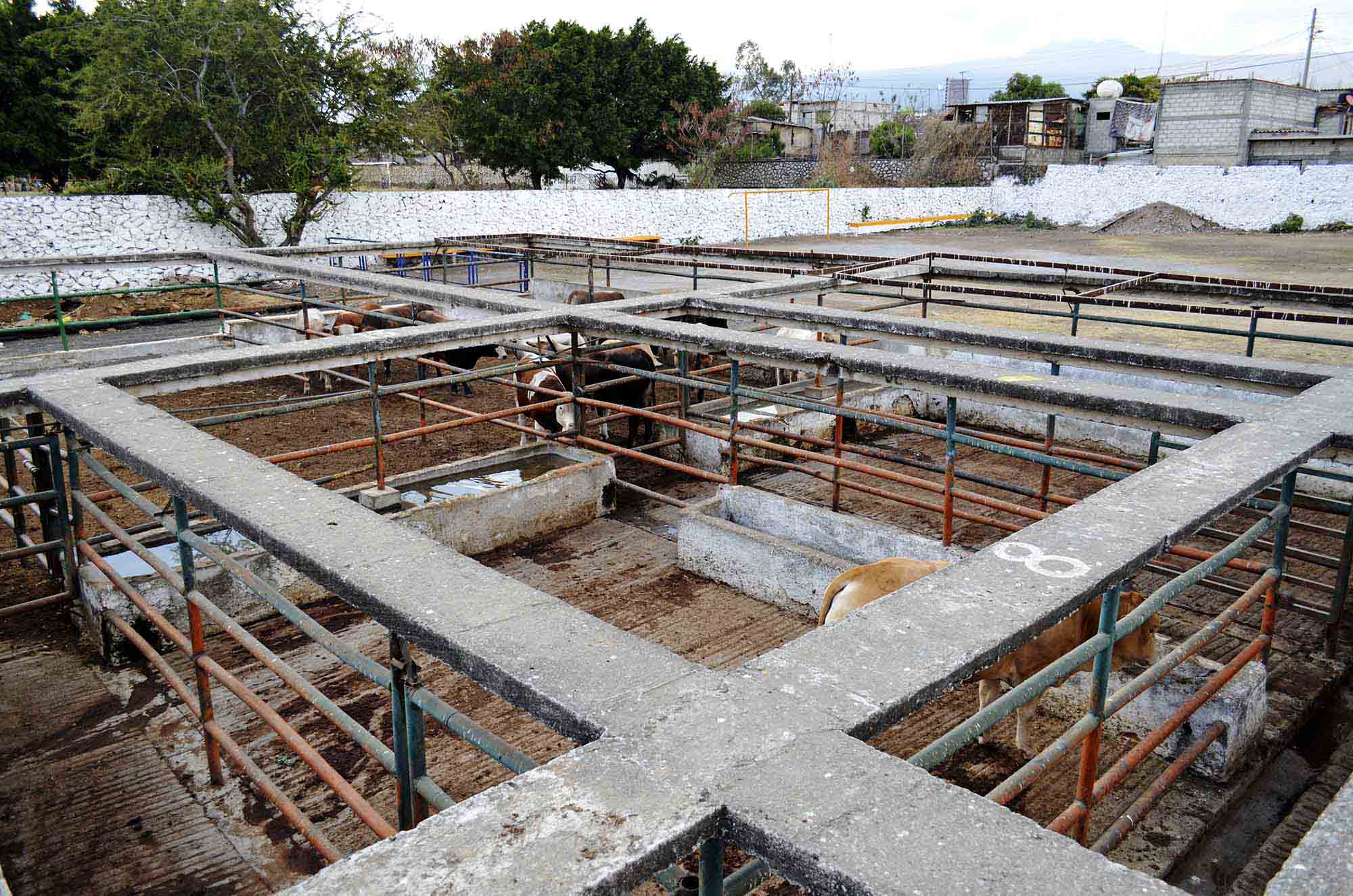 24 Morelos Rastro de Cuernavaca