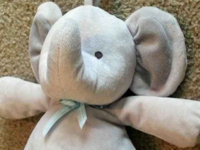 Descubren droga en el interior de un peluche
