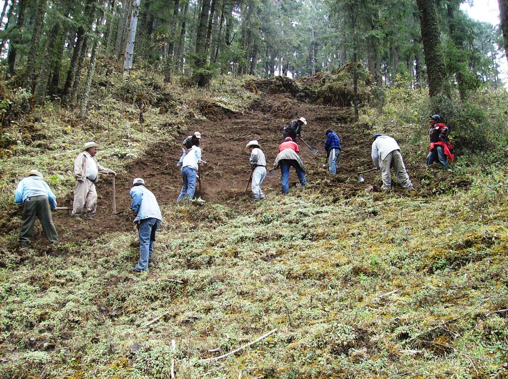 Remueven 30 toneladas de basura en Huitzilac