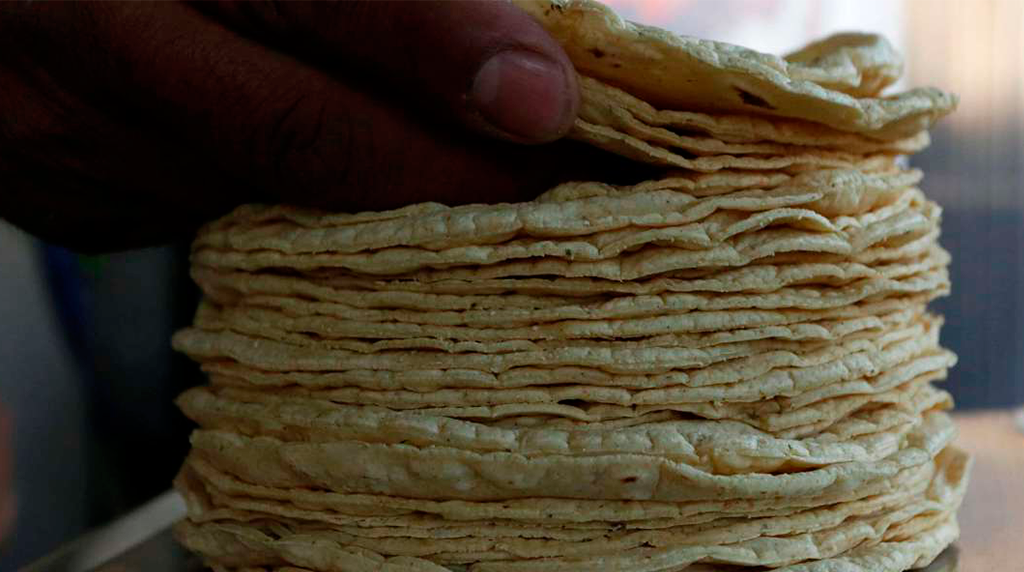24 Morelos Tortillas