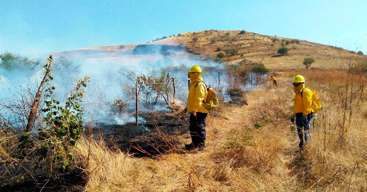 Prevé PC Morelos intensa temporada de incendios forestales