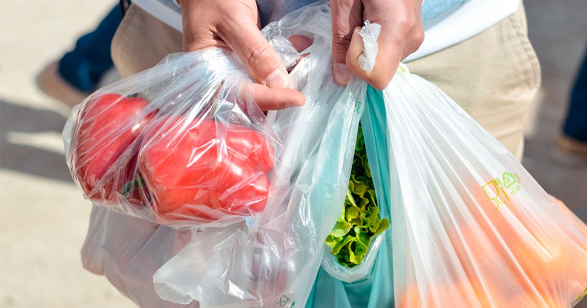 24 Morelos Bolsa de plástico