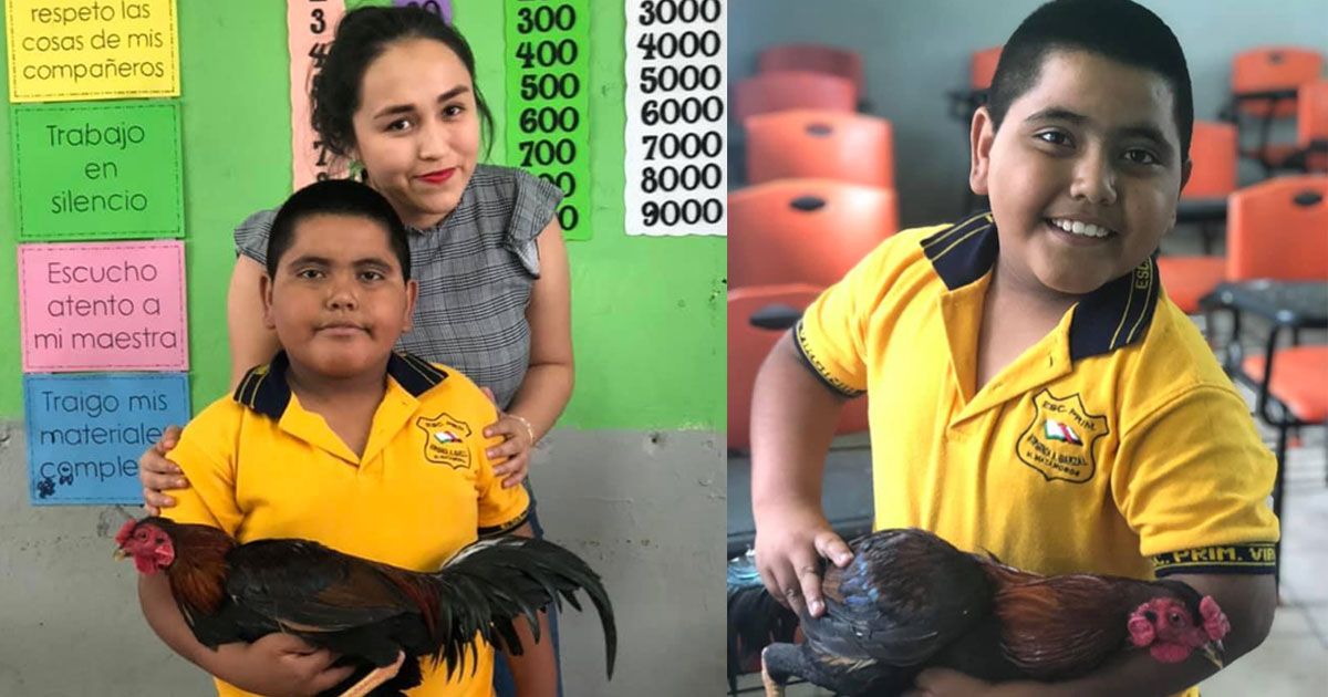 Alumno regala un gallo a su maestra