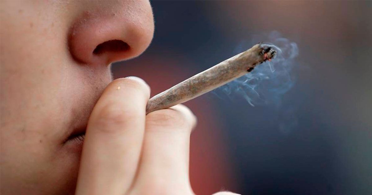 Buscan despenalización de marihuana a nivel Federal en Estados Unidos