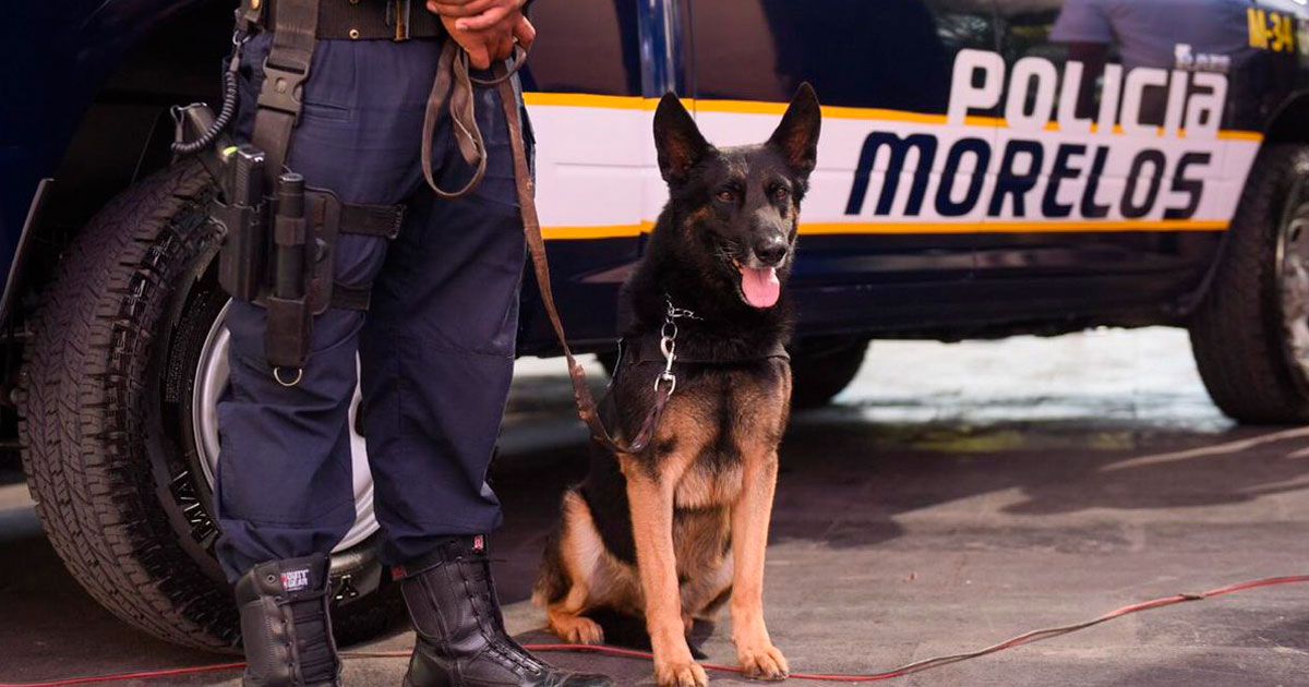 Se suma Temixco a estrategia de seguridad Mando Coordinado