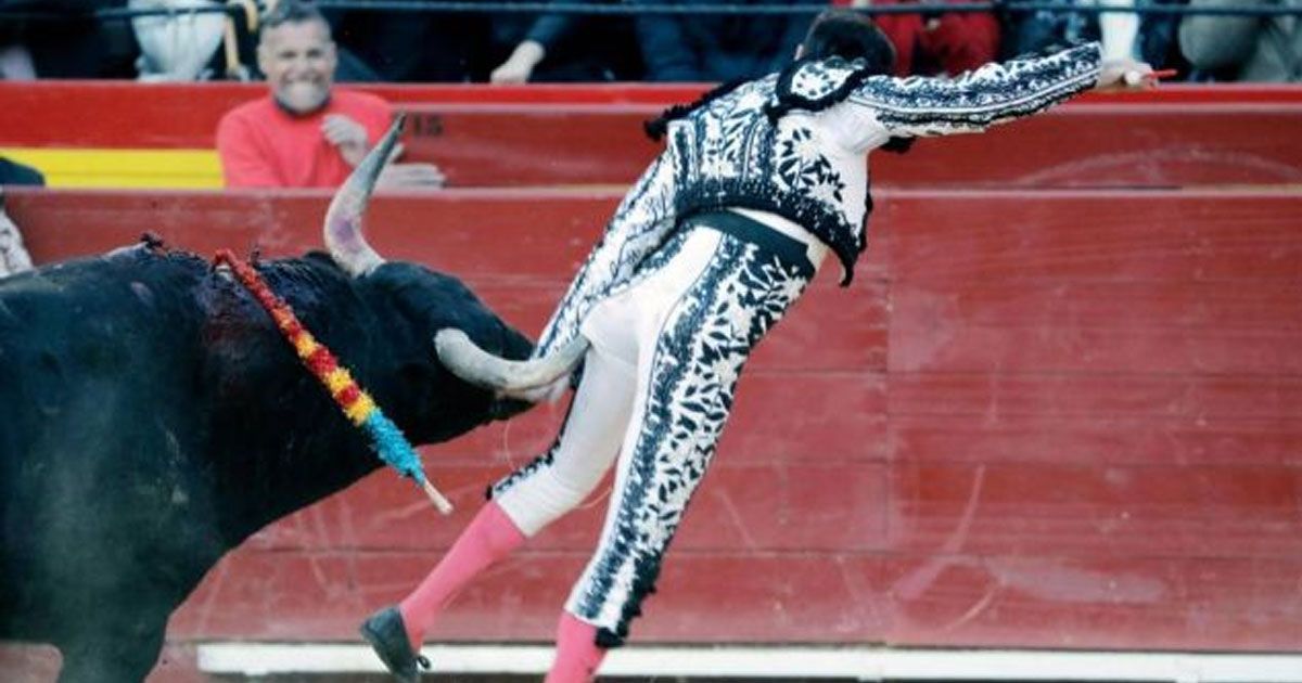 Ponce recibe cornada en el glúteo