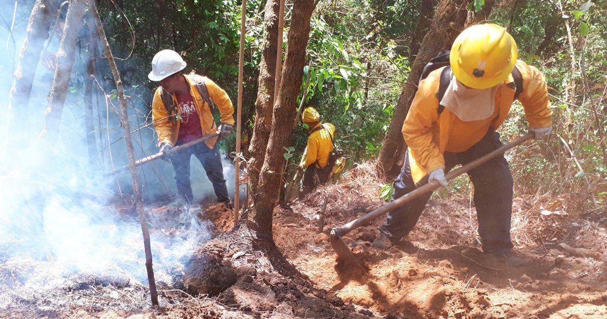 Disminuyen incendios durante Semana Santa