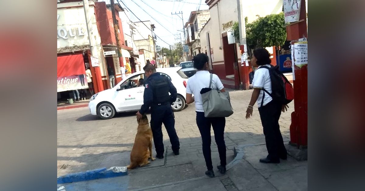 Hay menos delitos en inmediaciones de escuelas