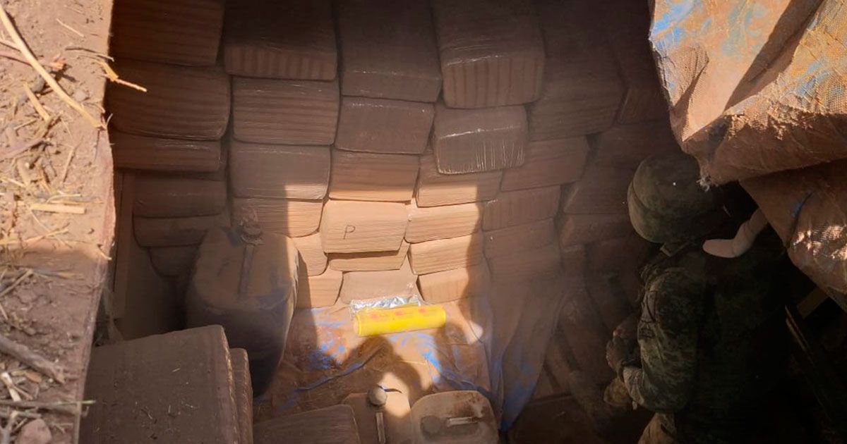 SEDENA encuentra 400 kilos de marihuana en Sinaloa