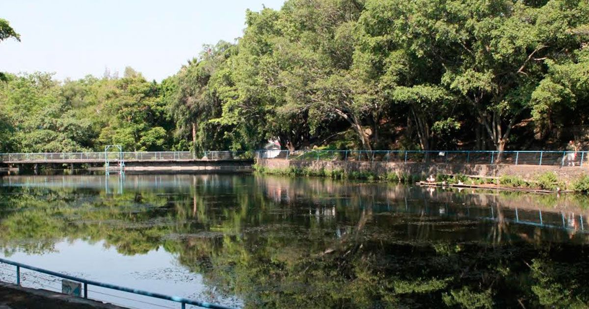 ¿Quieres reforestar tu comunidad en Morelos?