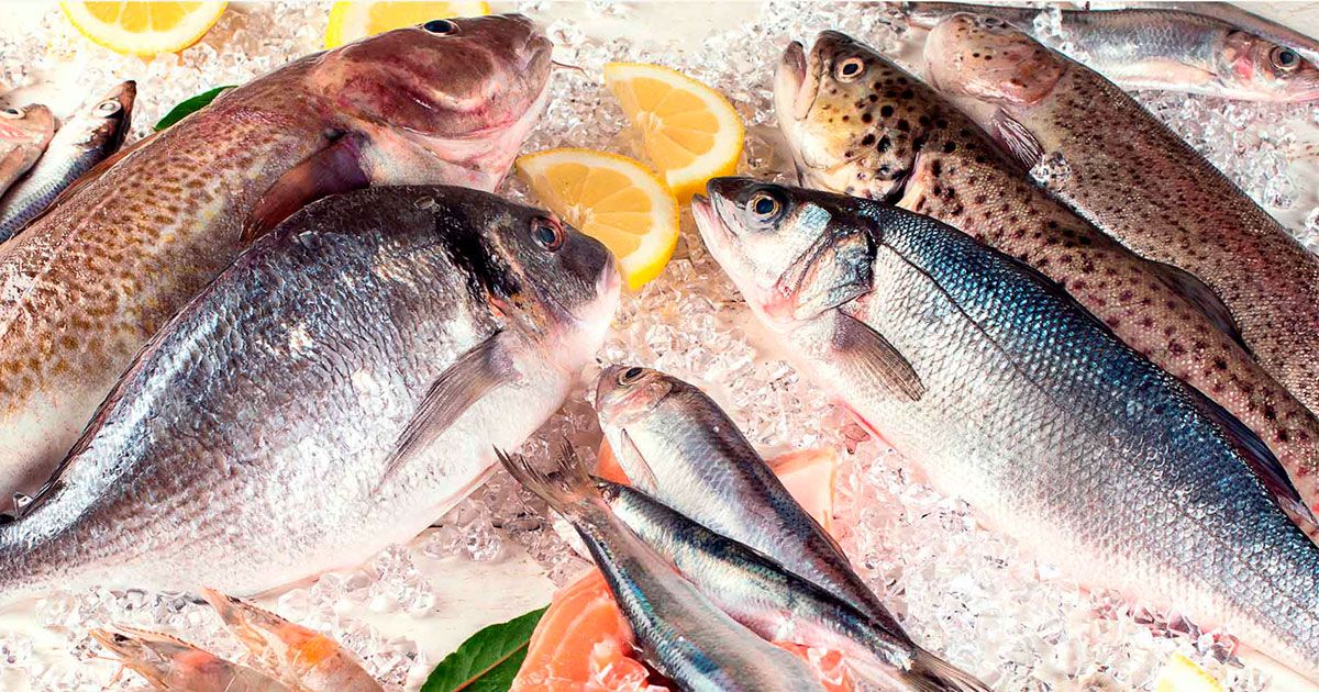 Profeco recomienda estos pescados para la Cuaresma