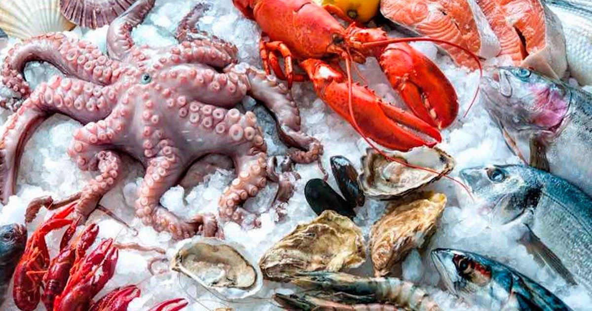 122 mil mdp de derrama económica a sector pesquero deja esta Cuaresma