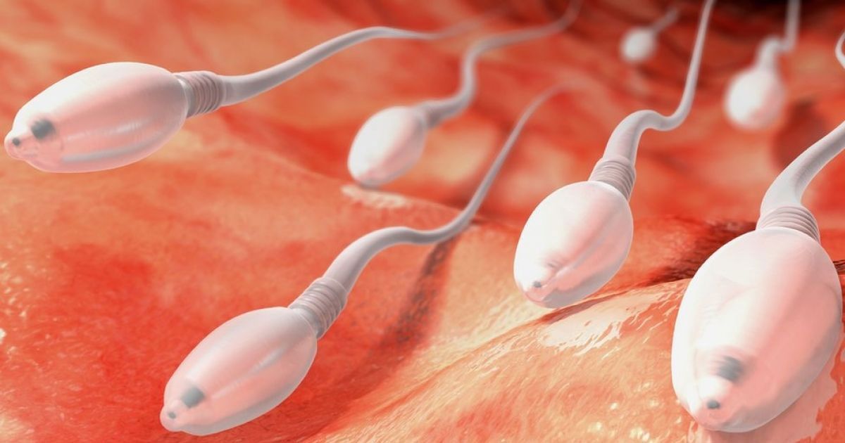 Semen actual es de menor calidad