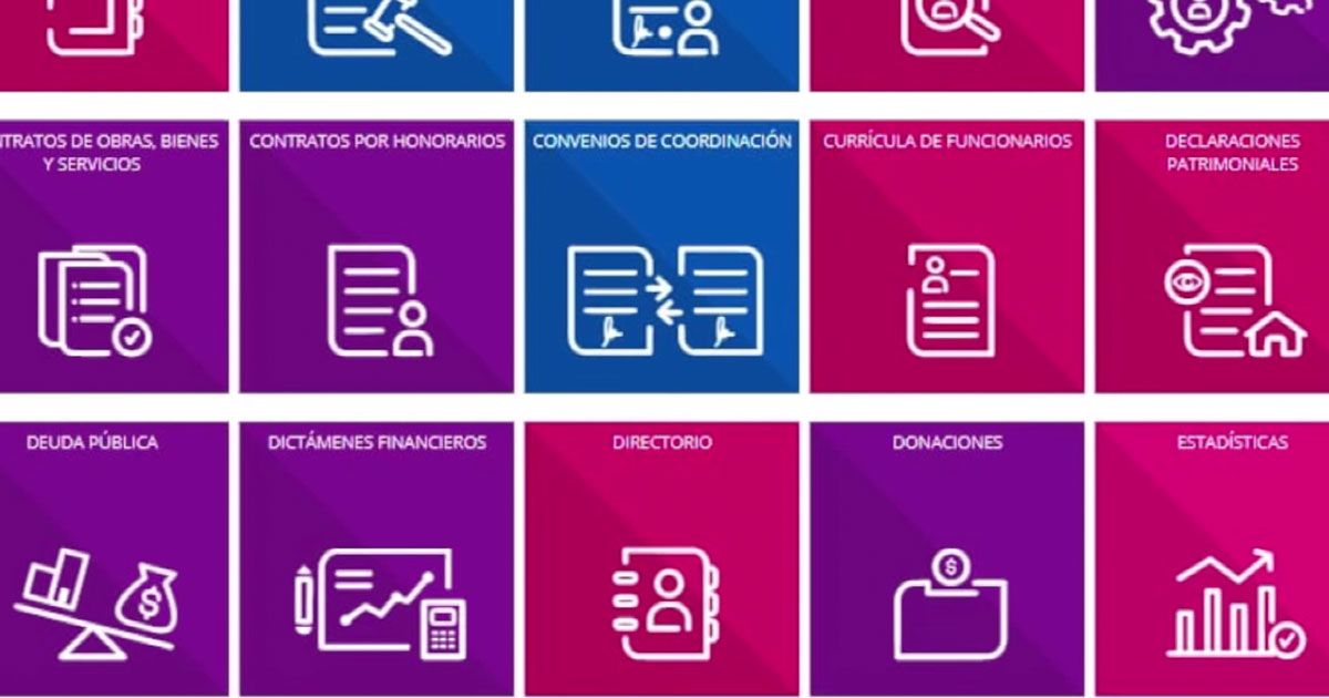 ¿Cómo podemos obtener información de las instituciones públicas?