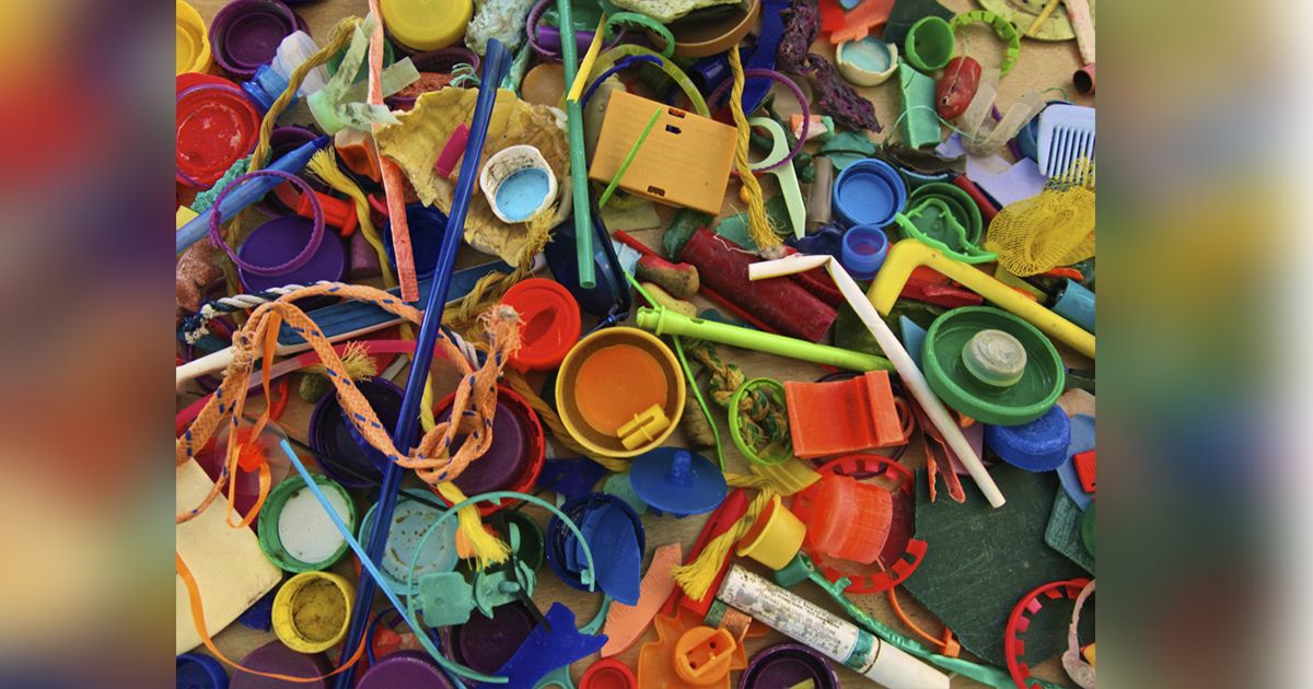 24 Morelos Plásticos