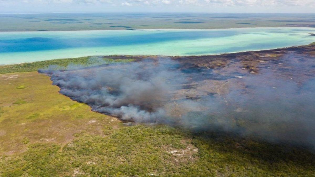 Se incendia área natural protegida en Quintana Roo