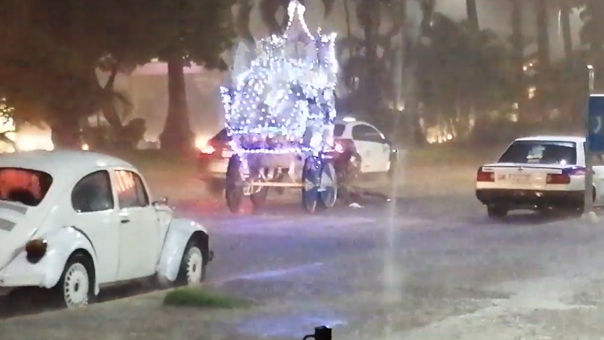 24 Morelos Caballo cae agotado jalando calandria