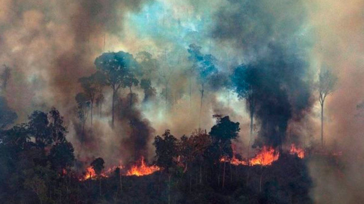 Rechaza Brasil ayuda del G7 para el Amazonas