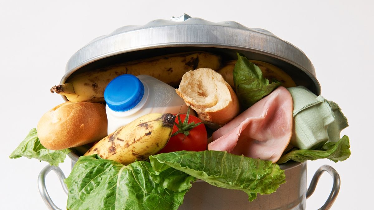 20.4 toneladas de comida se tiran anualmente en México