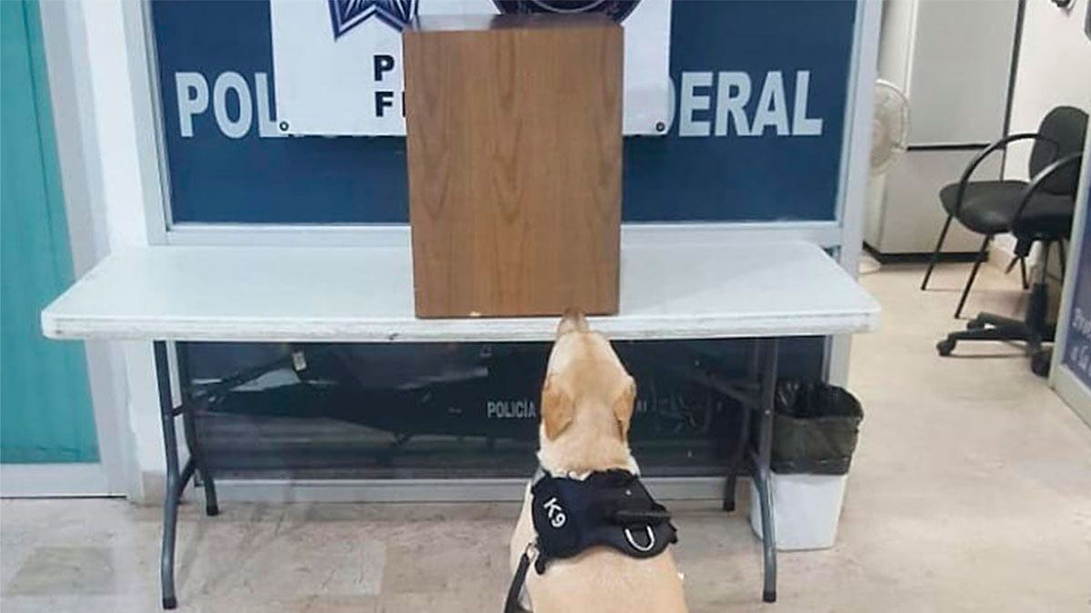 Decomisan 6 kilogramos de crystal