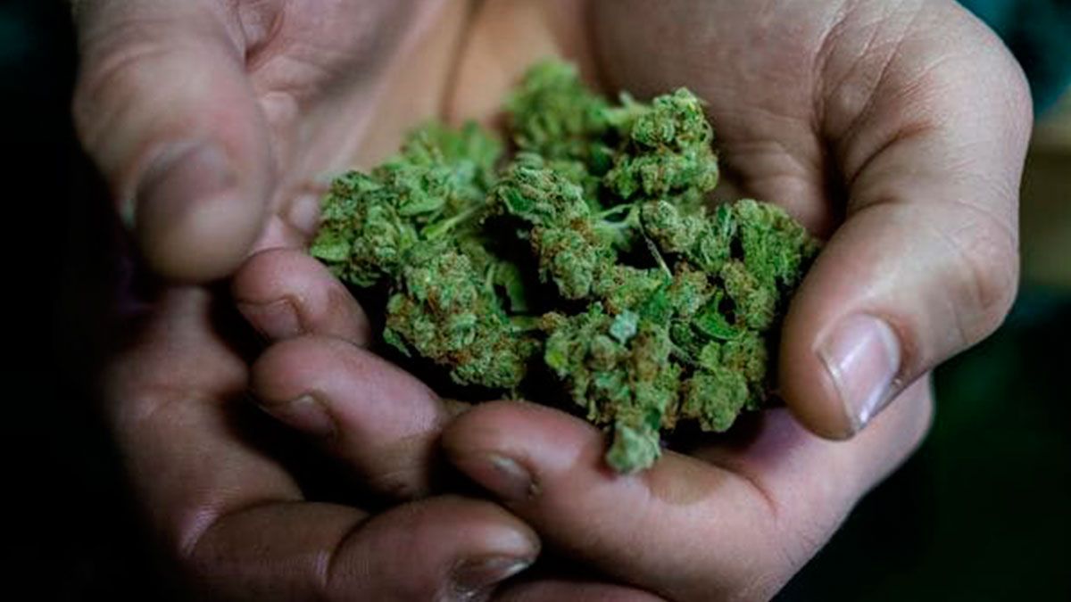 Despenalizan la marihuana en Nueva York