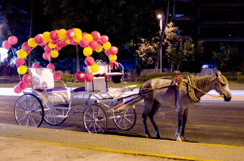 24 Morelos Calandrias Acapulco