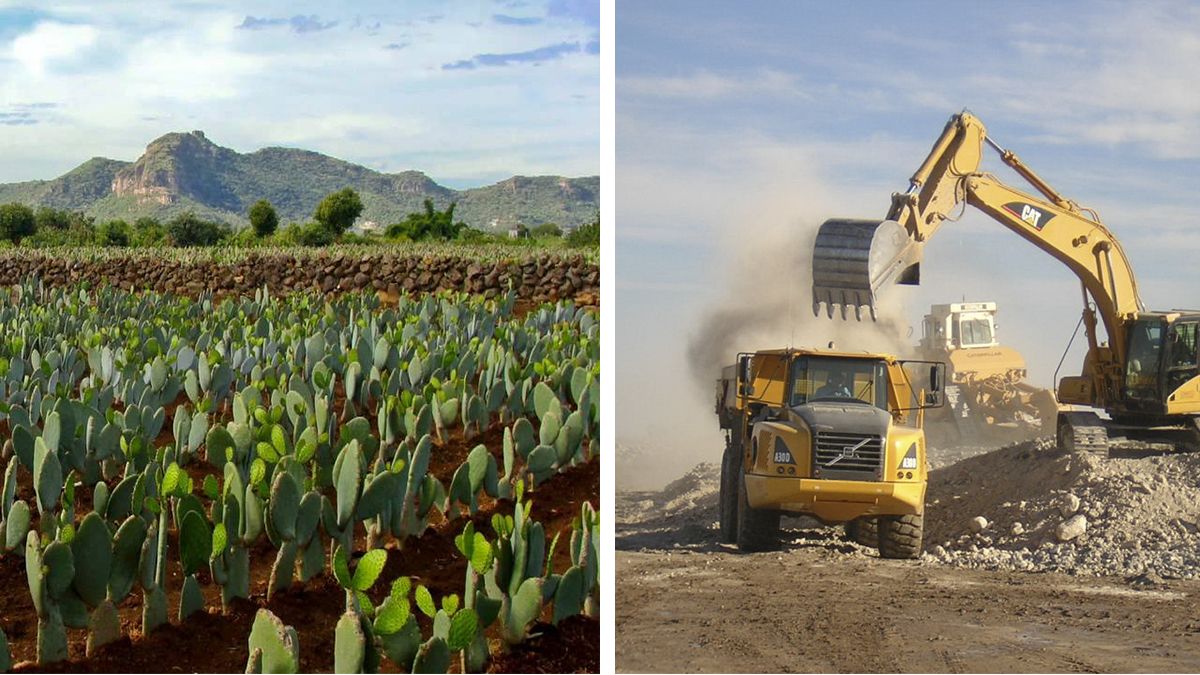 24 Morelos Campo de Morelos