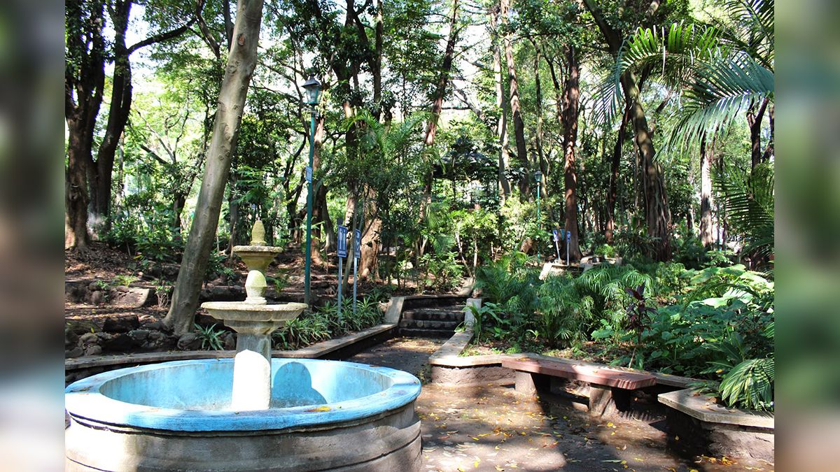 24 Morelos Parque Melchor Ocampo