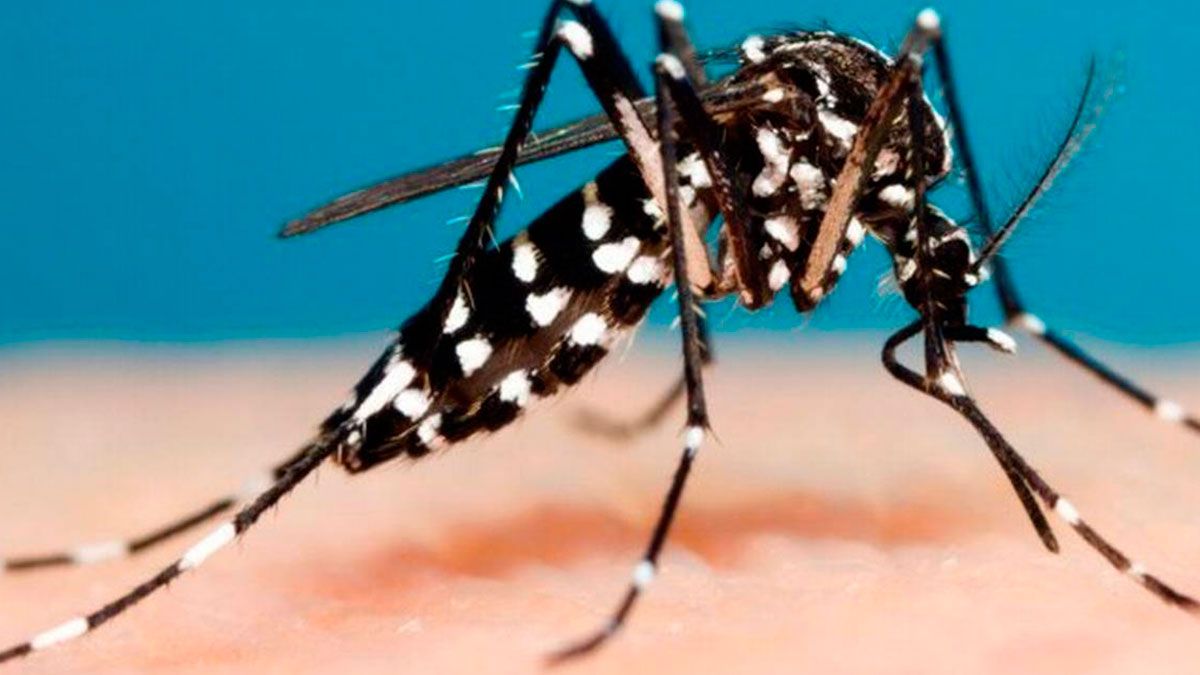 Dengue sigue creciendo en México