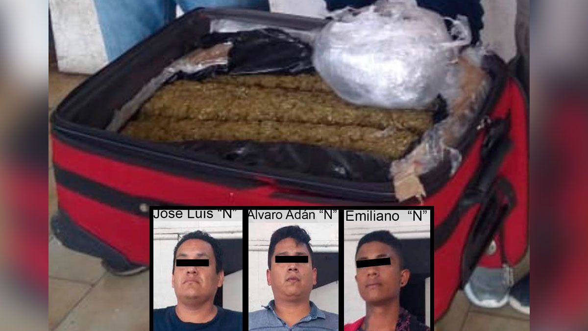 Transportaban marihuana en una maleta