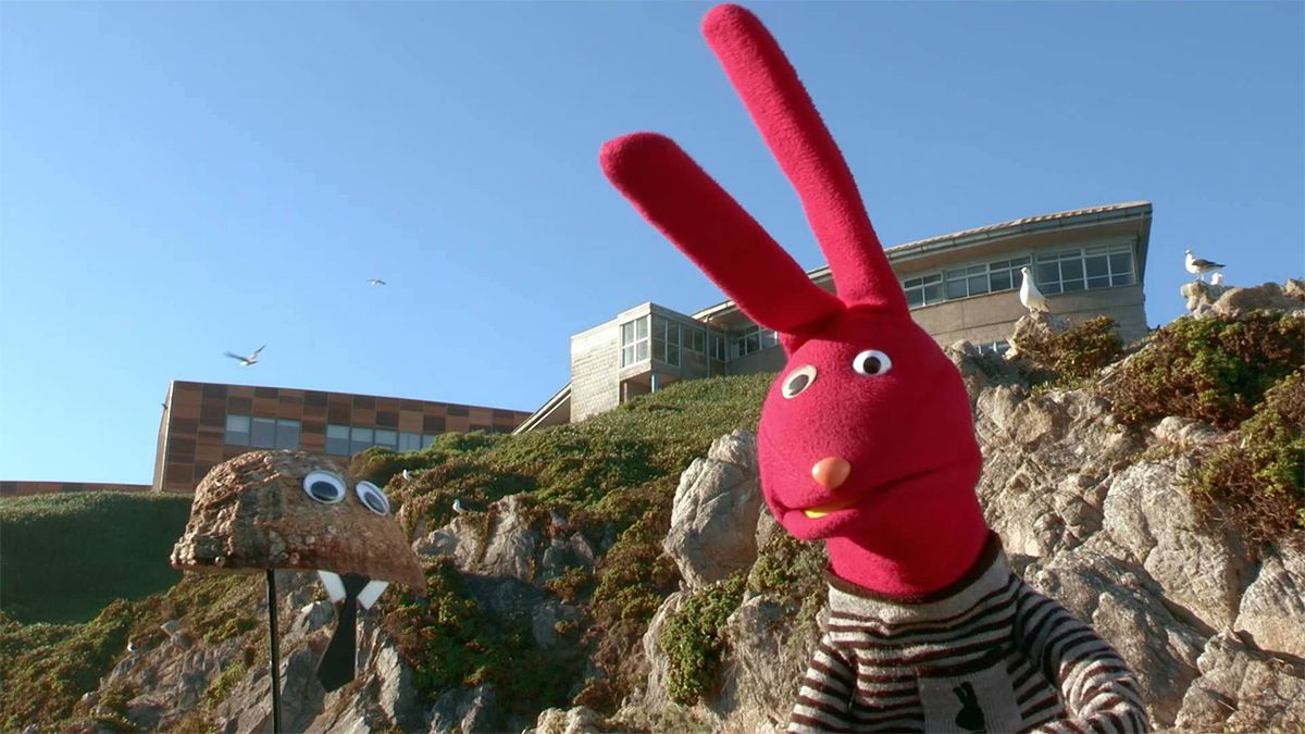 24 Morelos Juan Carlos Bodoque desde Chile