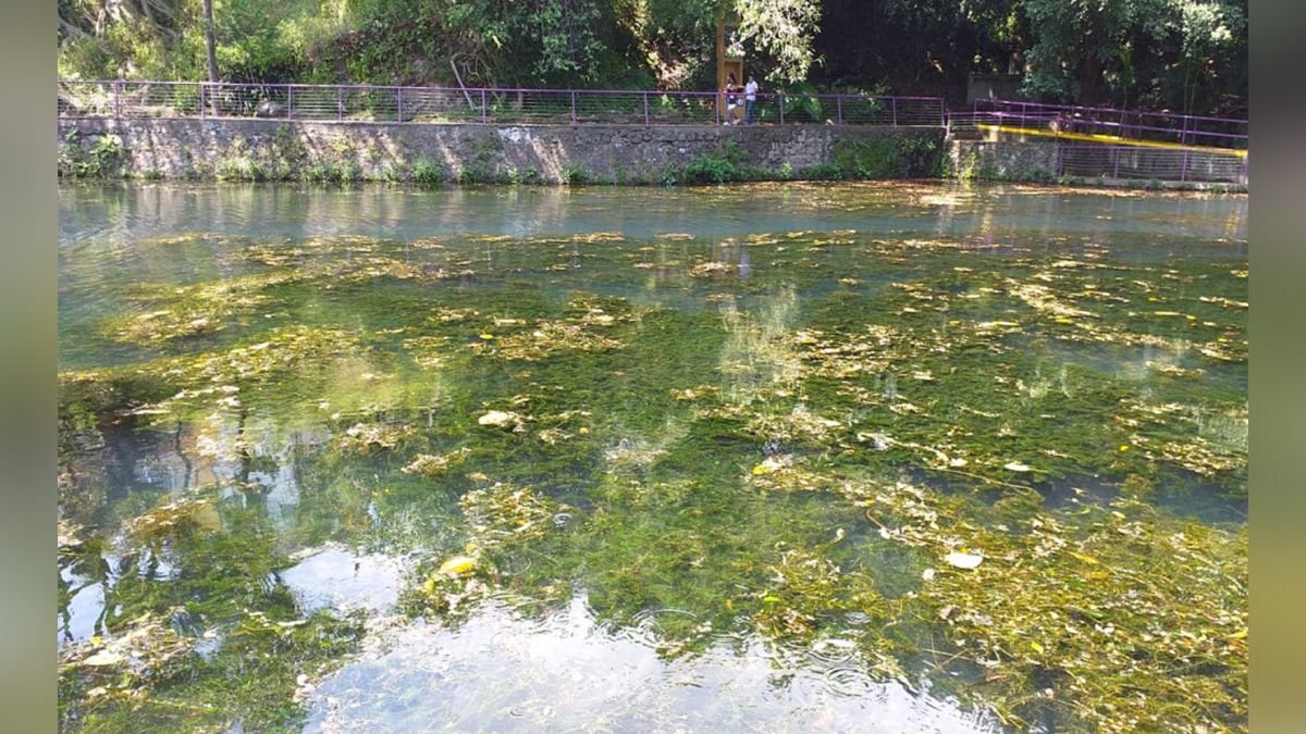 24 Morelos Lago de Chapultepec