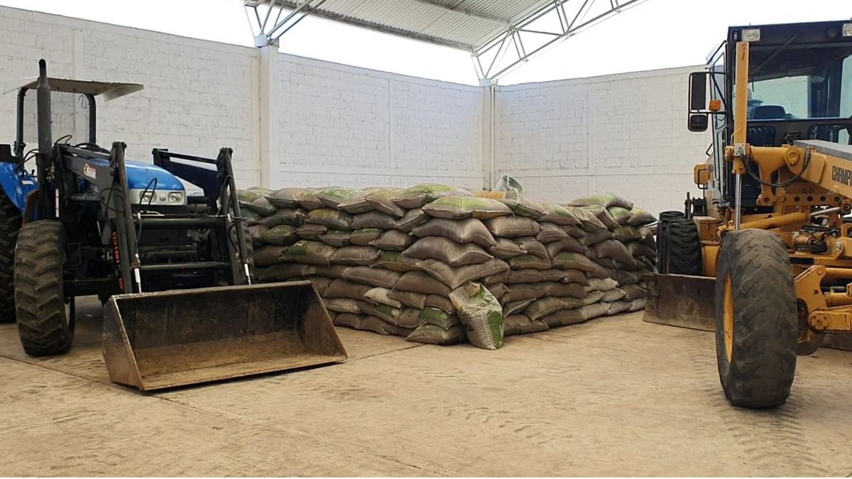 24 Morelos Producción de Caña