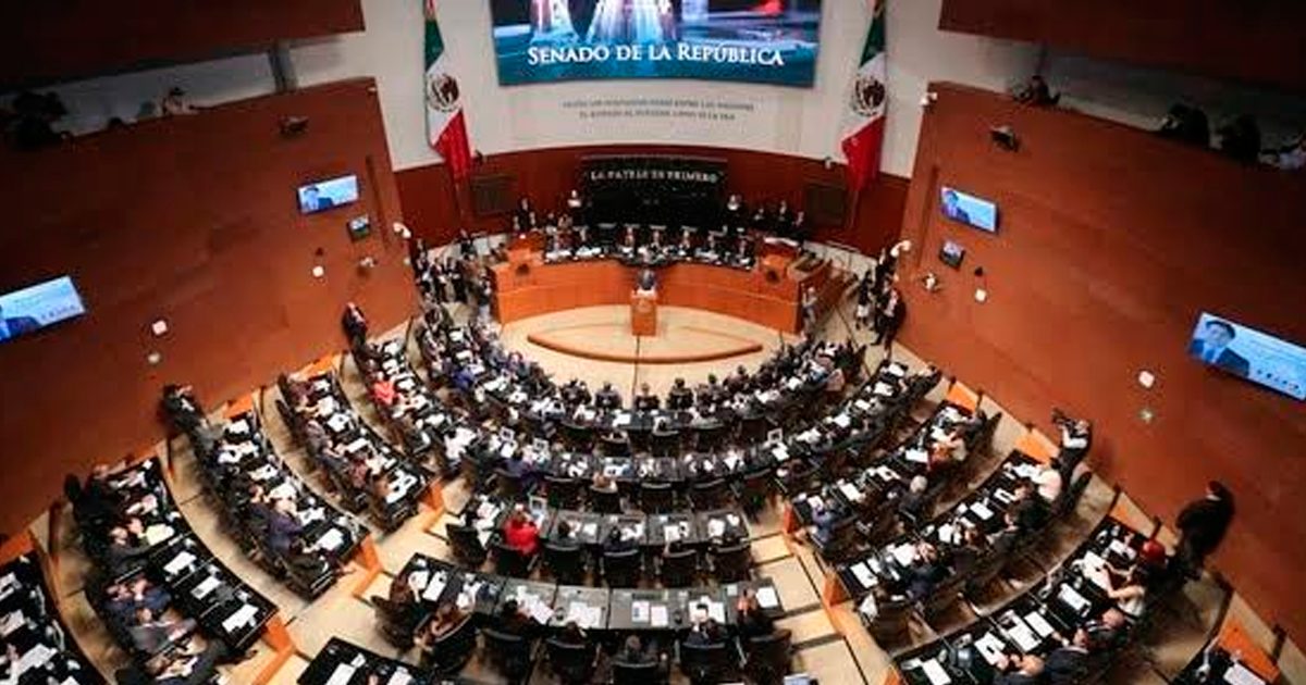 Senado presenta terna para dirigir la CNDH