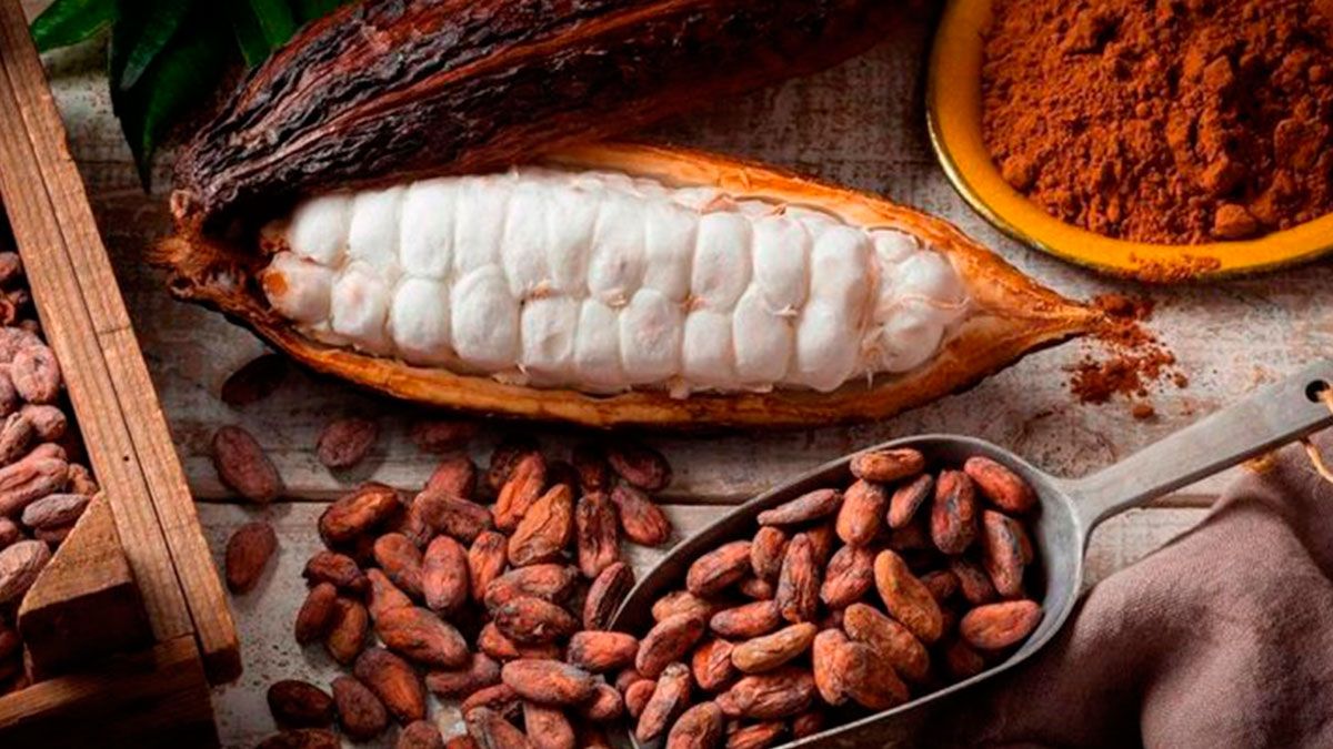 2 de Septiembre, Día Nacional del Cacao y Chocolate