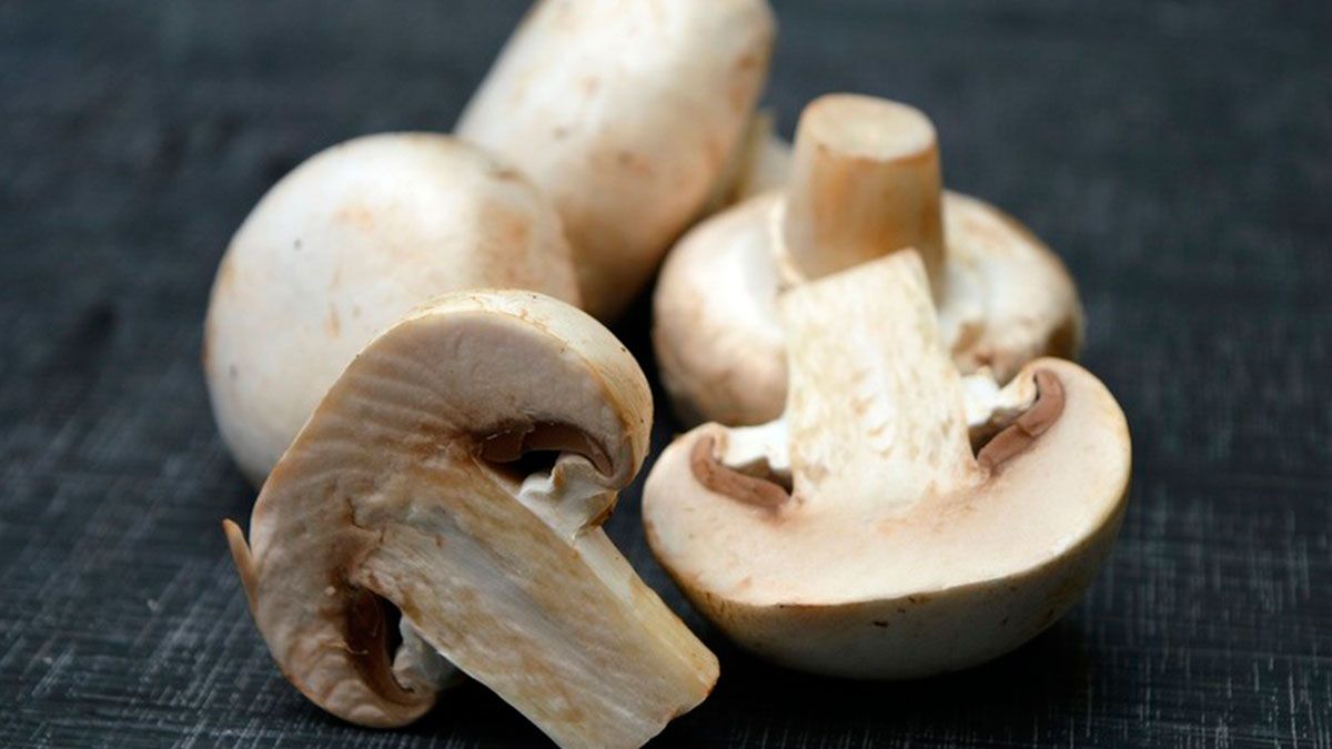 Beneficios de los champiñones