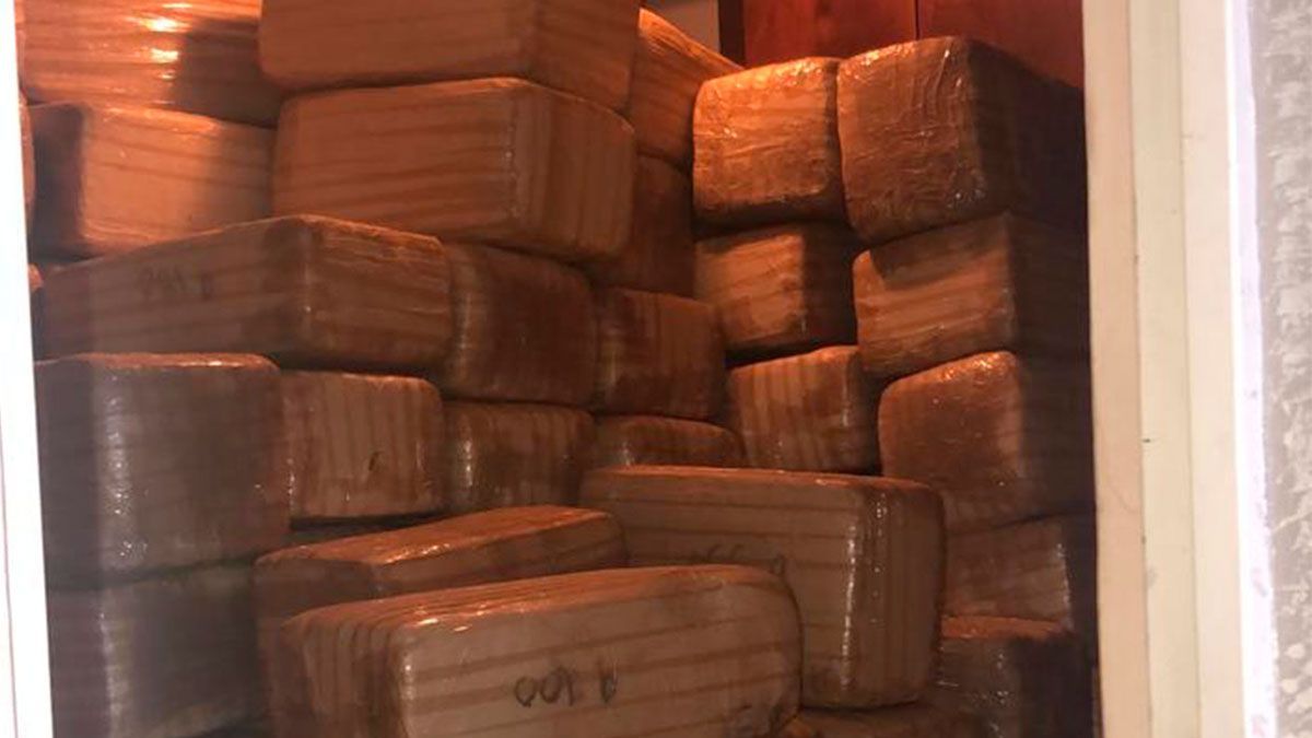 Encuentran casi 3 mil kilos de marihuana en domicilio