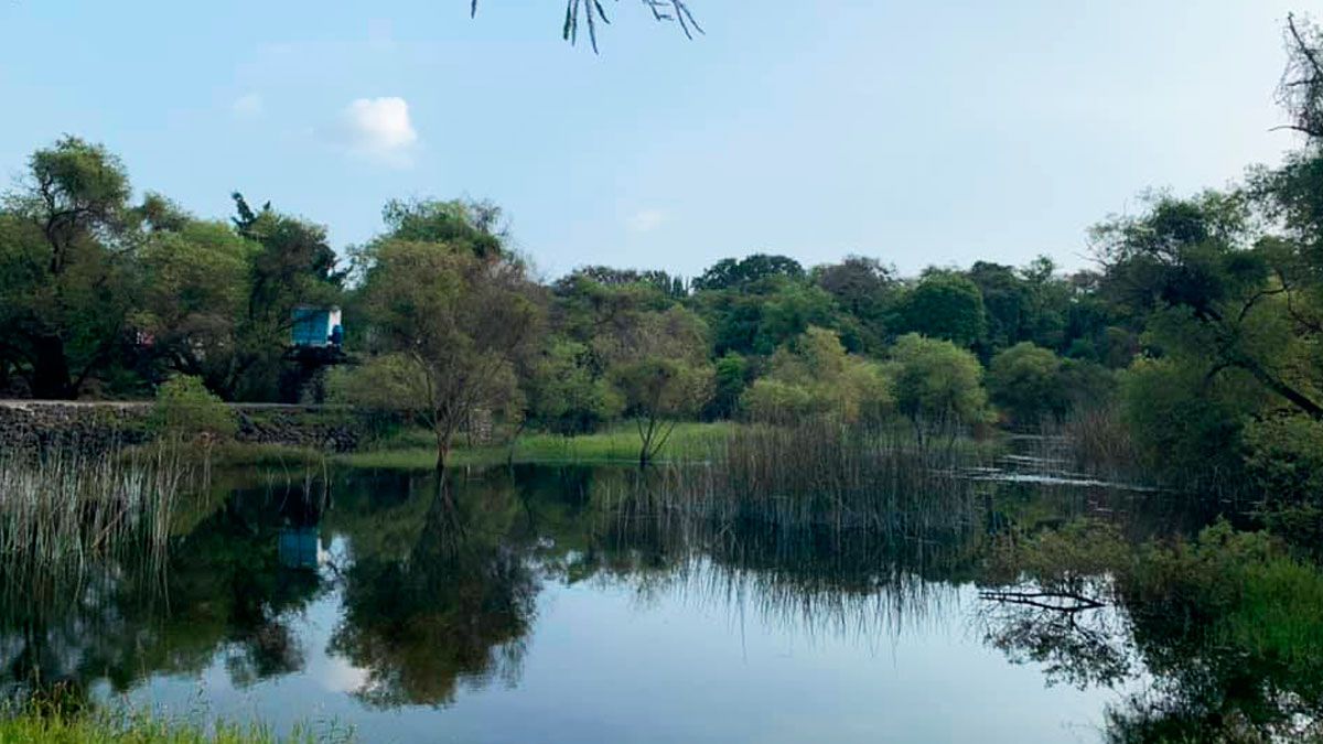 Participa en las actividades culturales en el Texcal