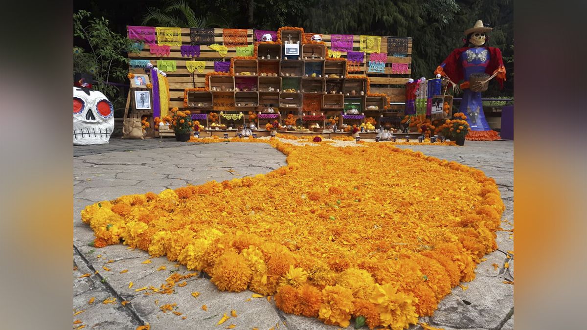 24 Morelos Parque Chapultepec Día de Muertos