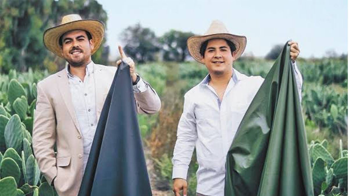 24 Morelos Piel de Nopal