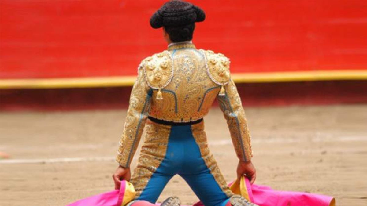 24 Morelos Torero