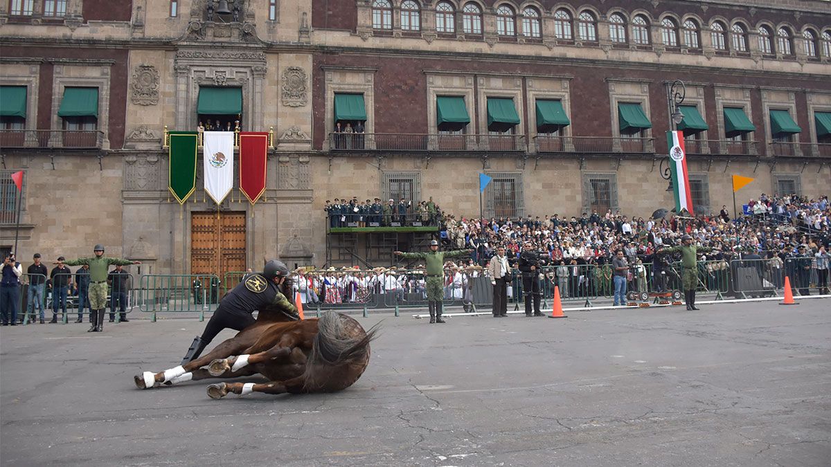 Desean pronta recuperación a jinete lesionado en Desfile