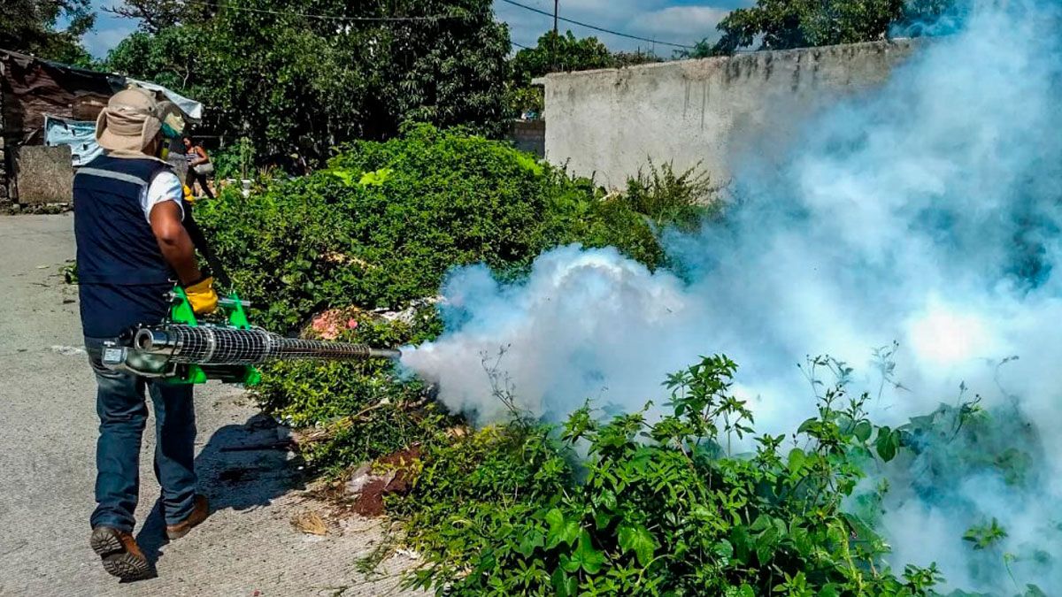 Llaman a tomar acciones contra criaderos de dengue