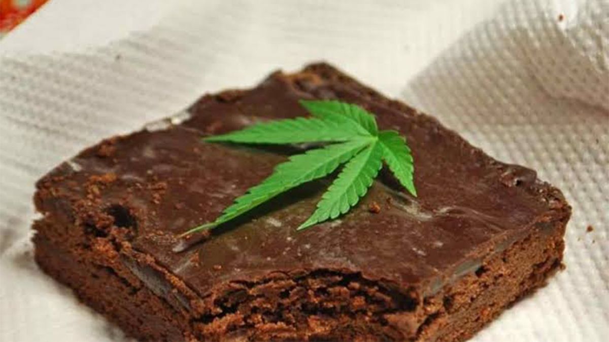 24 Morelos Brownies con marihuana
