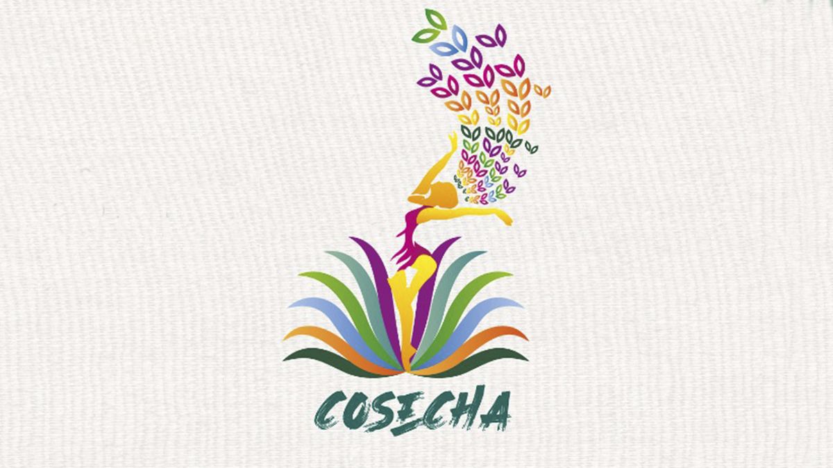 24 Morelos Festival Cosecha Jojutla
