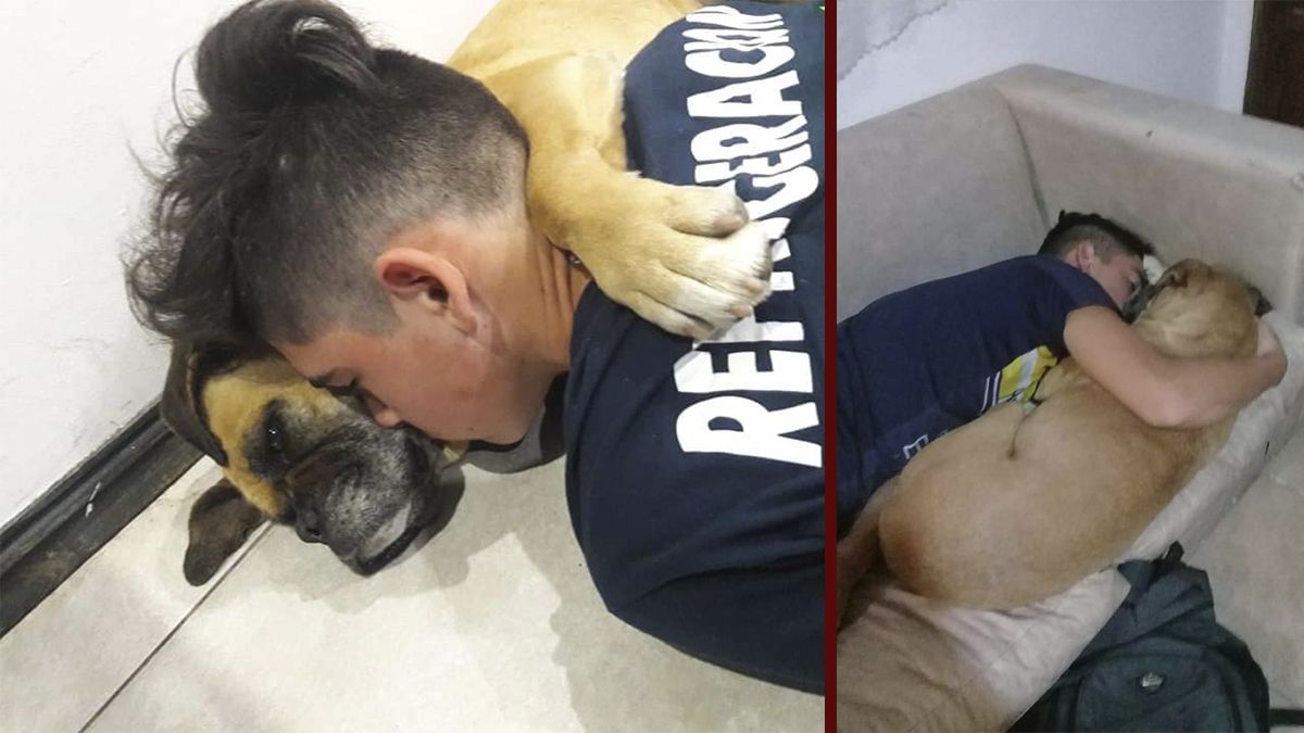 24 Morelos Perro muere a causa de pirotecnia