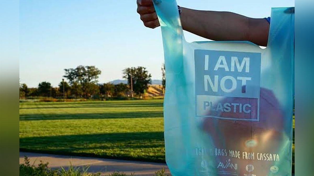 24 Morelos bolsas hechas con Yuca